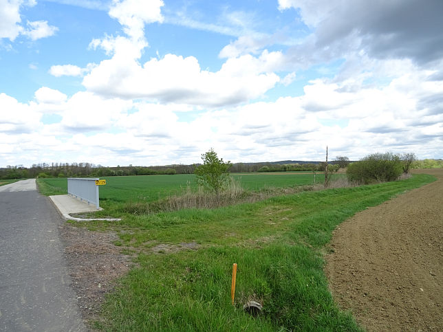 Alte Rittschein, Dotierung